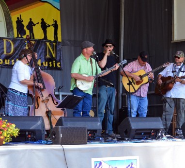 Large Bluegrass Band